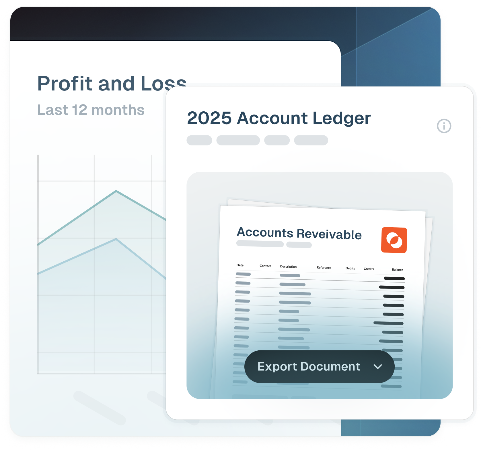 Account Ledger for Revela